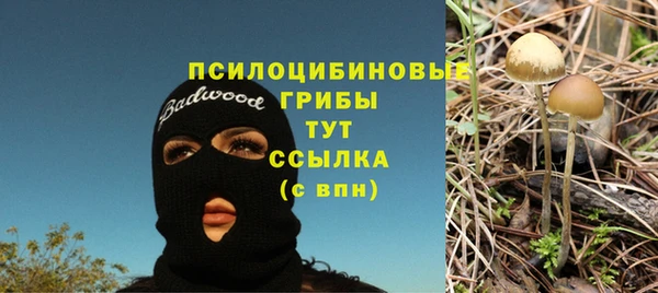 прущие крисы Абдулино