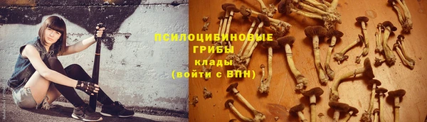 круглые Абаза