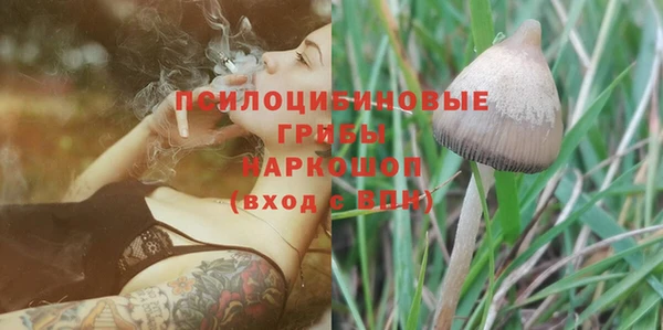 гидропоника Горняк