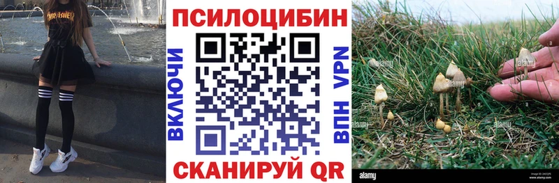 Псилоцибиновые грибы MAGIC MUSHROOMS  Югорск 